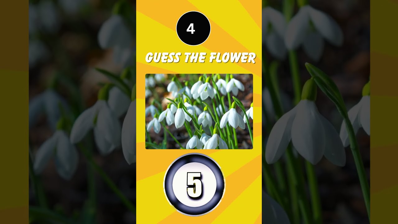 🌺 Guess the Flower Quiz Challenge! 5 Beautiful Blooms 🌸