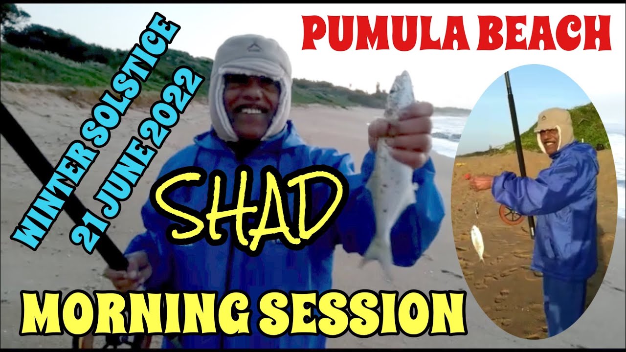 Shad Bluefish @ Pumula Beach Fishing 21 June 2022