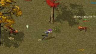 Free MMO Conquer Online - Mystic Ring Quest