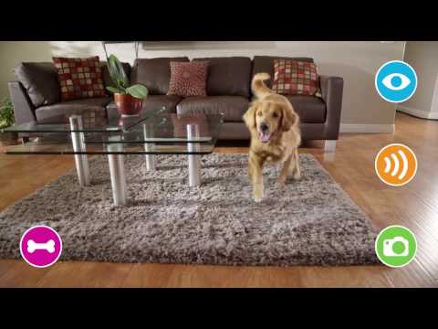 Petzi Treat Cam - WiFi Pet Camera & Treat Dispenser