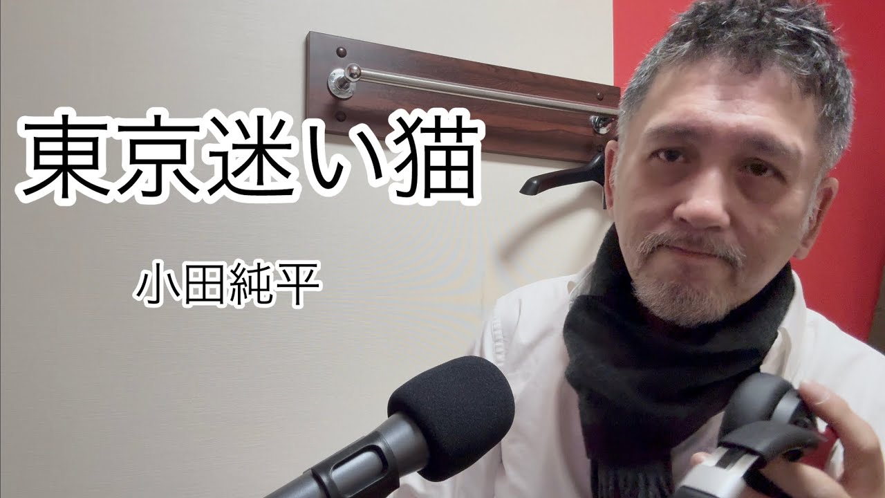 東京迷い猫／小田純平（歌詞付き）【covered by ゲーシー】g-150