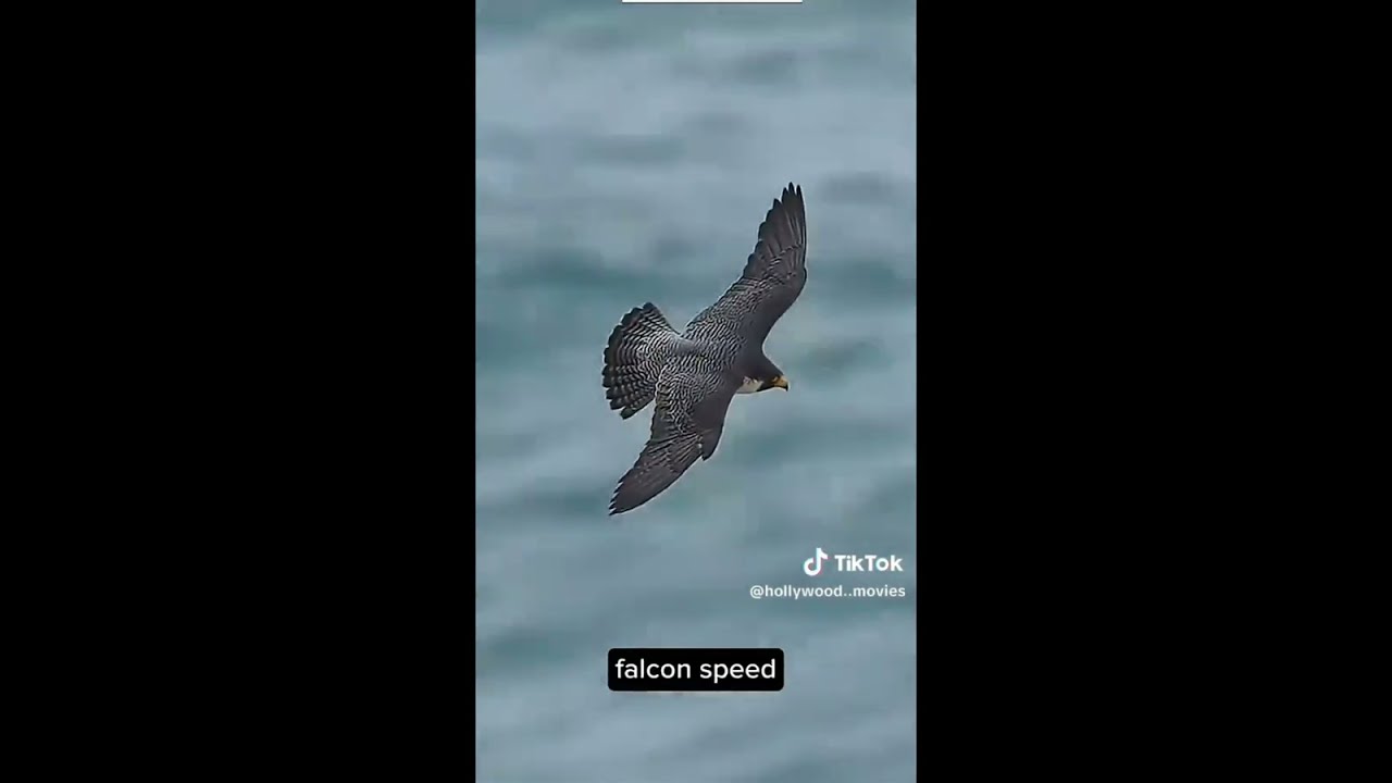 What really happened in Antarctica 