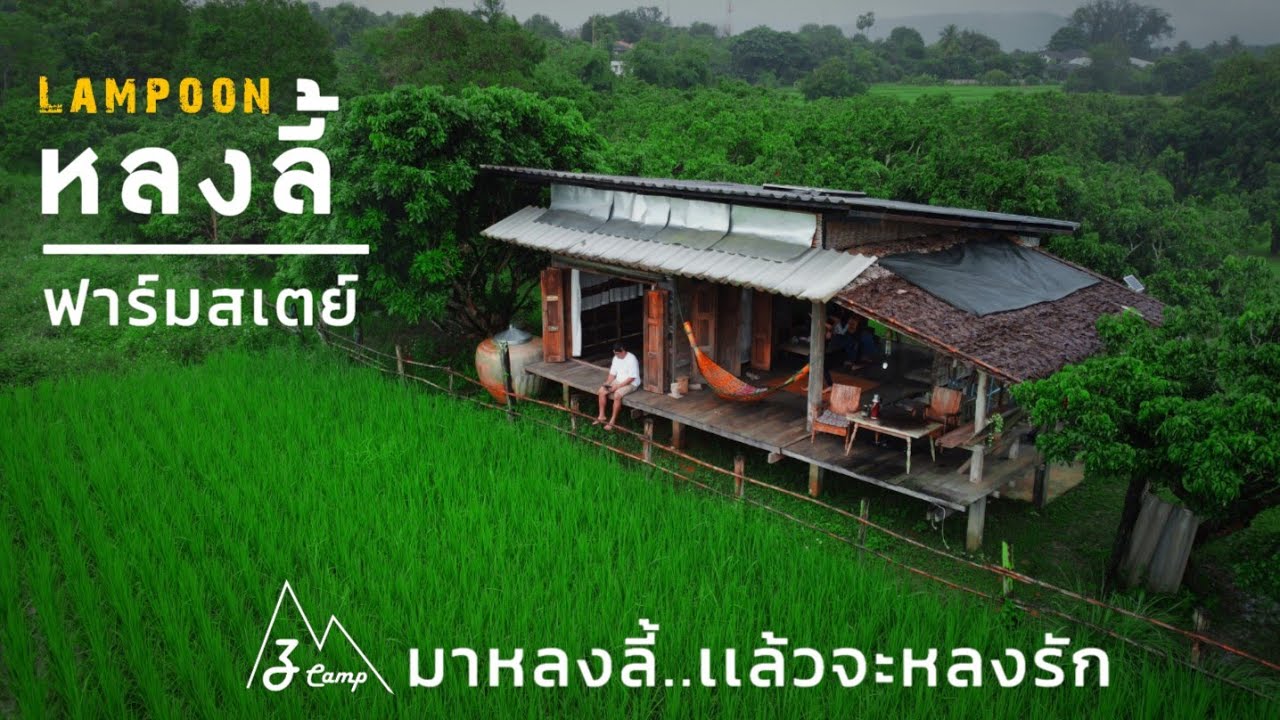 หลงลี้ ฟาร์มสเตย์ จ.ลำพูน มาสูดอากาศบริสุทธิ์ สัมผัสวิถีชีวิตที่เรียบง่าย