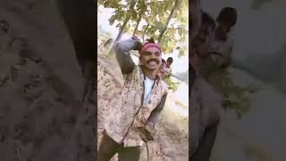 sp ram cdvs dance videos