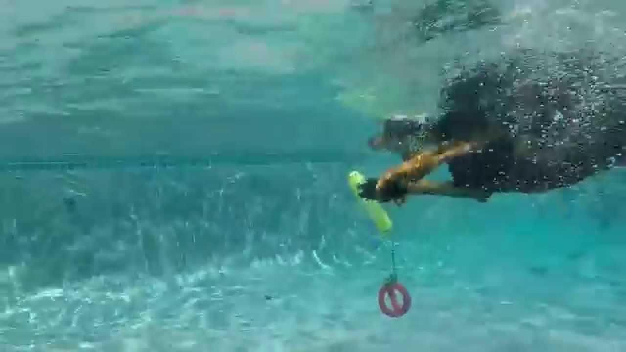 Doberman Dog Blitz jumps off side of pool & dives underwater in swimming pool simultaneously