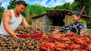 Engineer Trieu Khanh's Forest Journey Led to an Incredible Discovery of Crabs and Snails to Sell.!