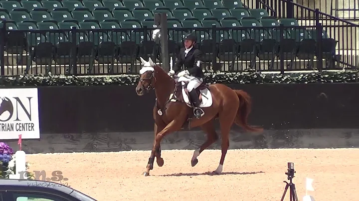 Sherry Stephenson & Pygmalion Prince American Even...