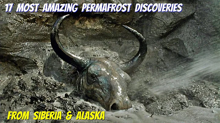 17 Most Amazing Permafrost Discoveries From Siberia & Alaska - DayDayNews