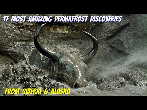 Vídeo: Fenòmen natural inusual: permafrost