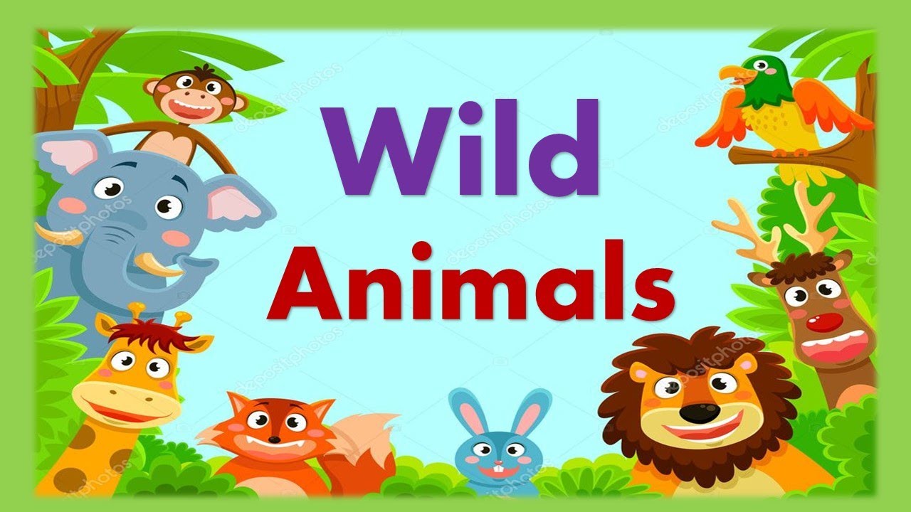 Wild animals and their sounds | Video of wild animals | Zoo ...