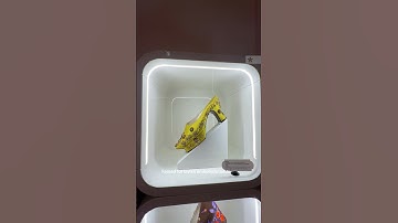 Step inside the archive belonging to the inventor of the modern stiletto