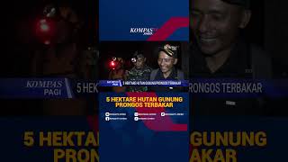 5 Hektar Hutan Gunung Prongos Ponorogo Terbakar Hebat, Petugas Berjibaku Padamkan Api Secara Manual