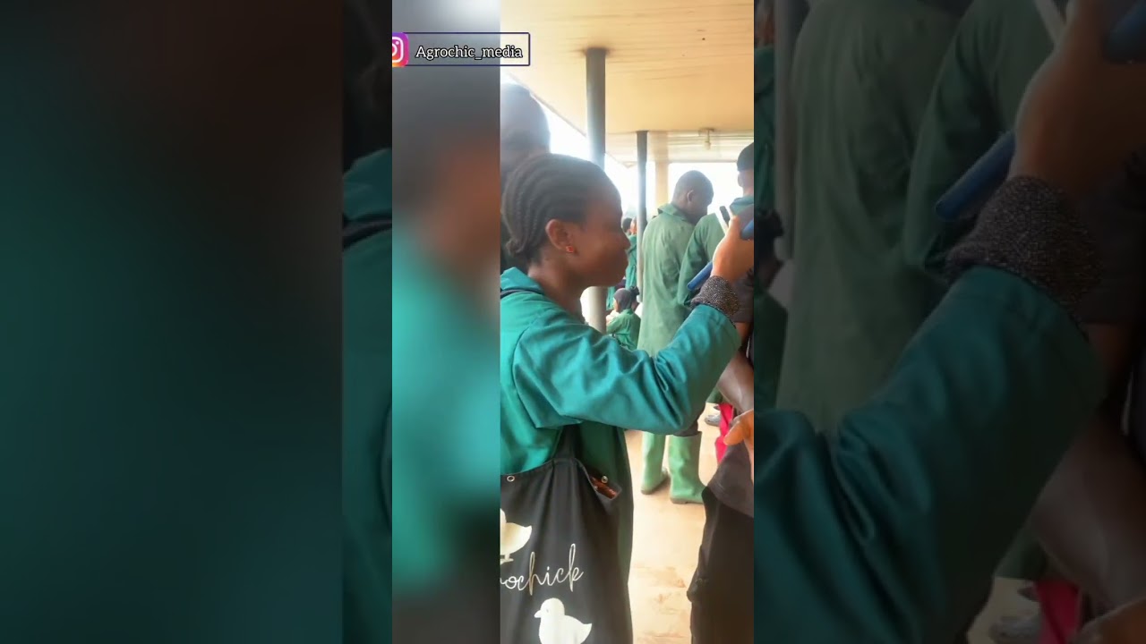 Interviewing 500level Animal Science students and asking #2 important questions 