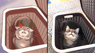 😂Cat Memes: funny cats and dogs to make your day better😹The best hand-drawn animal memes