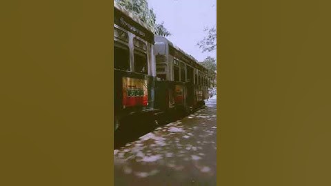 #YouTube shorts video# Falak Tak chal sath mere # kolkata Tram# video Like subscribe 💕 and share