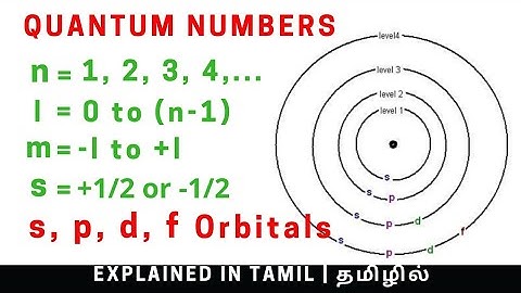 Quantum numbers, Sub levels, and Atomic orbitals explained | Class 11 | Tamil - தமிழில்