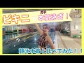 【水泳】ビキニと競泳水着のタイム比べてみた！！実際違いあるの？