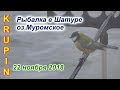 Рыбалка в межсезонье в Шатуре. Когда не клюёт. 22 ноября 2018.