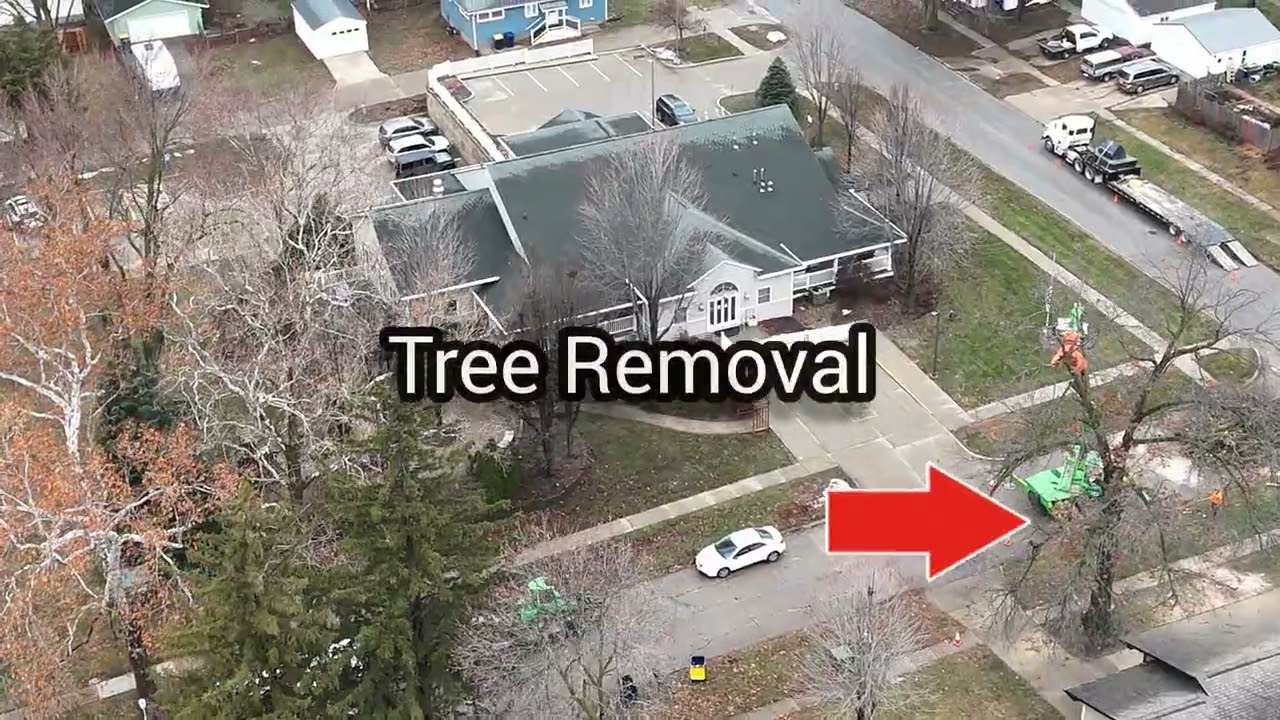 Skyrover X1 First Flight