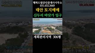 #태안토지  #바닷가토지  #신두리해수욕장  #신두리토지  #쇼츠  #shorts