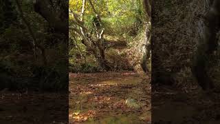 Ραθες, Καπανδρίτι Όλα τα βίντεο διαθέσιμα στο κανάλι #greece #greecewithmycamera #travel #nature