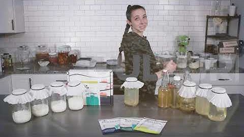 How to Activate Water Kefir Grains | Step-by-Step Beginner’s Guide