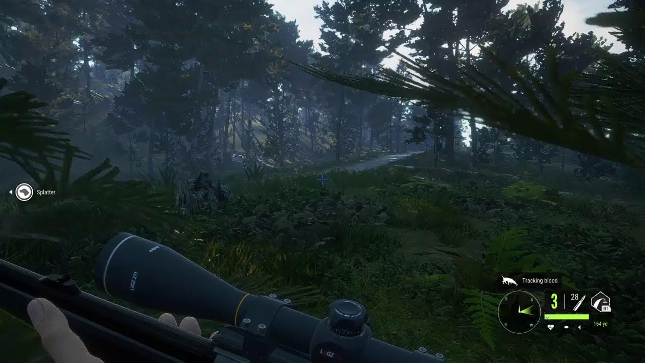 the hunter call of the wild diamond requirements the hunter call of the wild diamond requirements