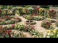 Rose Garden Image for You | Slideshow | Framed Art Screensaver | Art for Your TV