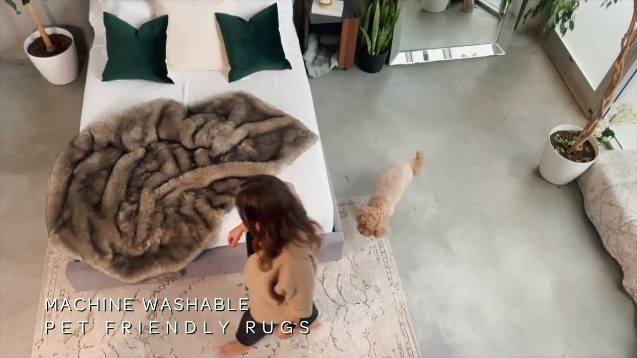 Machine-washable Pet-friendly Rugs