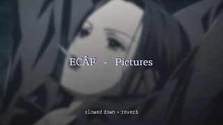 ECÂF - Pictures {slowed   reverb}