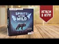 SPIRITS OF THE WILD: Играем в красивую настольную игру на двоих! ЛУЧШИЕ ИГРЫ НА ДВОИХ