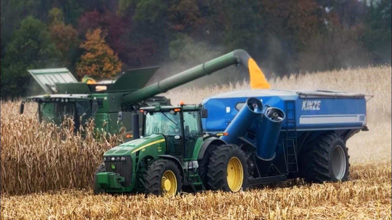 Уборка зерна 2025