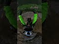 first time Low Ultimate #lauterbrunnen #basejump #skydive #mountain