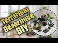 Faire ton propre terrarium dsertique pour cactus et plante grasse  diy