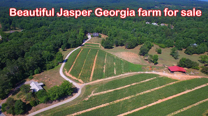 Beautiful 39 Acre Jasper Georgia Farm For Sale - P...