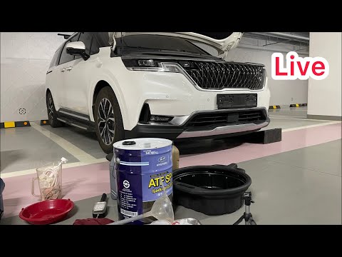 Live Hungry DiY, KA4 transmission fluid inject into the leveling plug.
