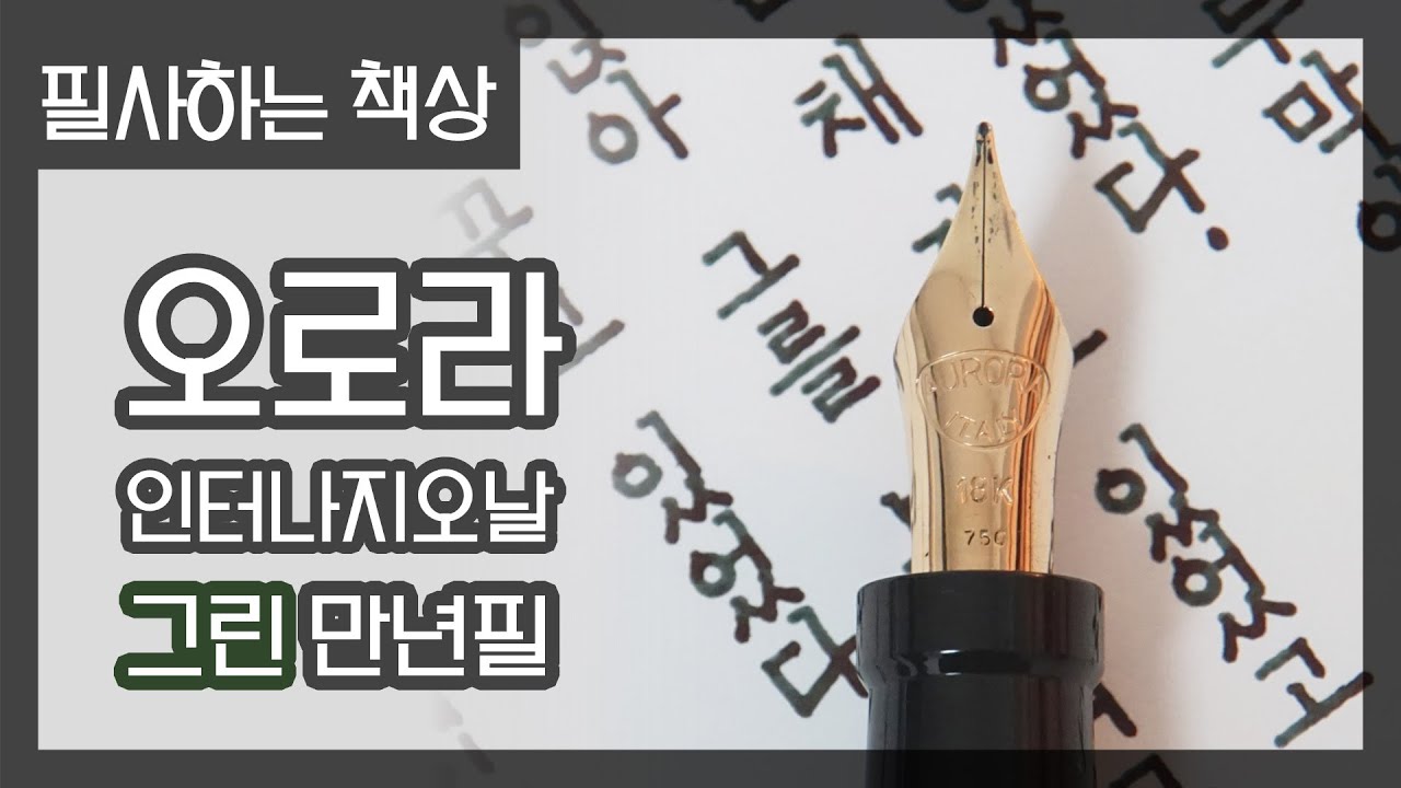 사자 꿈을 꾸고 있었다 (오로라 인터나지오날 M닙 만년필 필사하기)