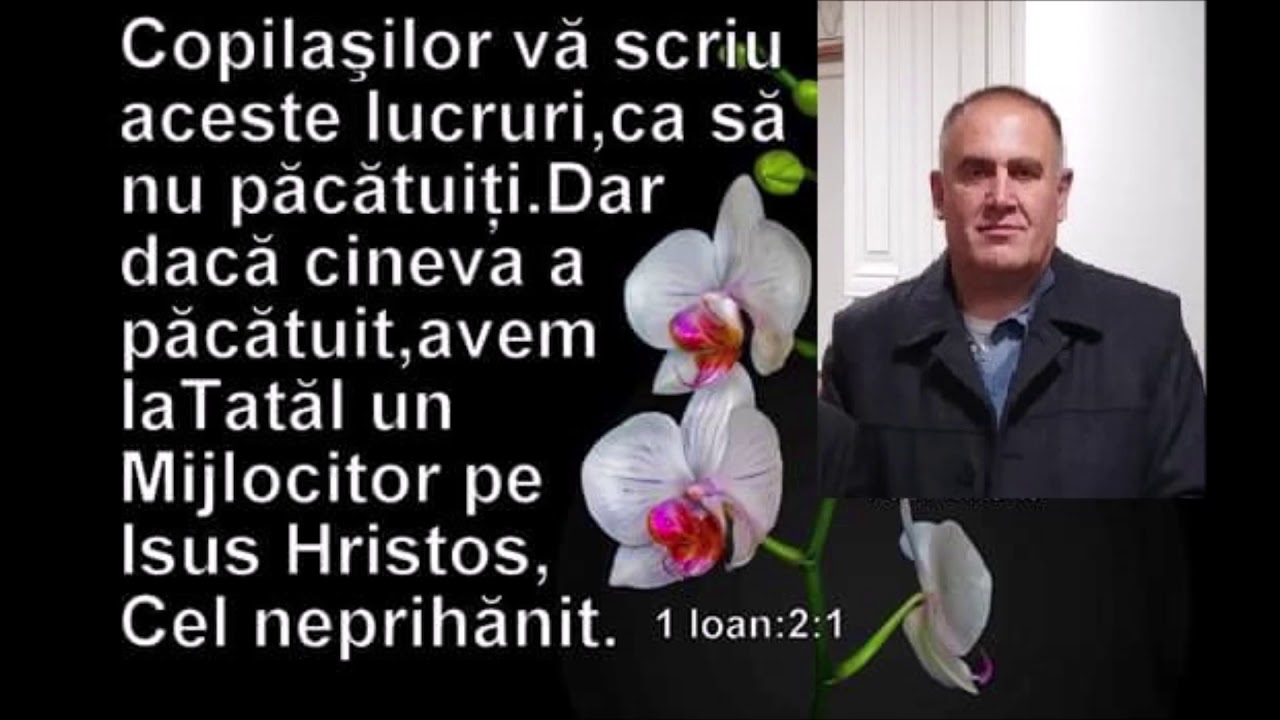 Râvna Evangheliei păcii - MIRCEA COLȚEA