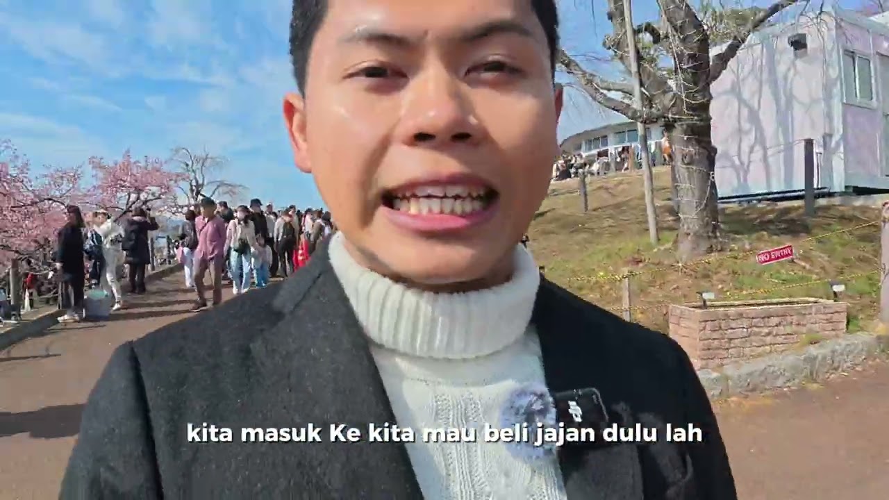 SAKURA DI JEPANG SUDAH MEKAR!!! #japan #japan #sakura