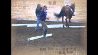 Use Ground Poles and Cones & Improve Responsiveness and Balance