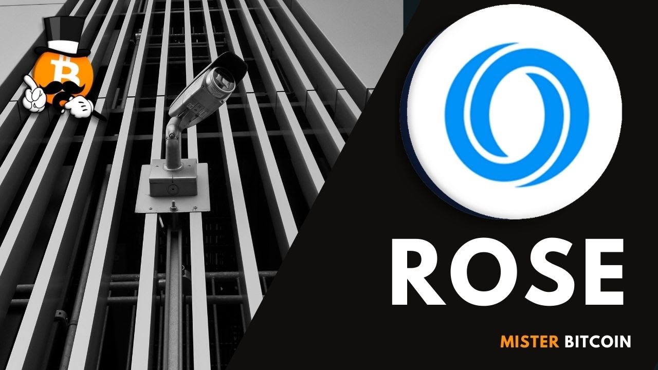 ¿OASIS Network (ROSE)?| Qué es ROSE, Cómo Funciona y Para que Sirve | BIEN  EXPLICADO En Español 2022