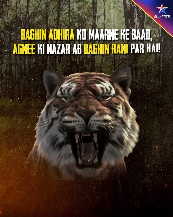Baghin | Agnee ka hai ek hi maqsad... Baghin Rani ka shikaar! #Baghin