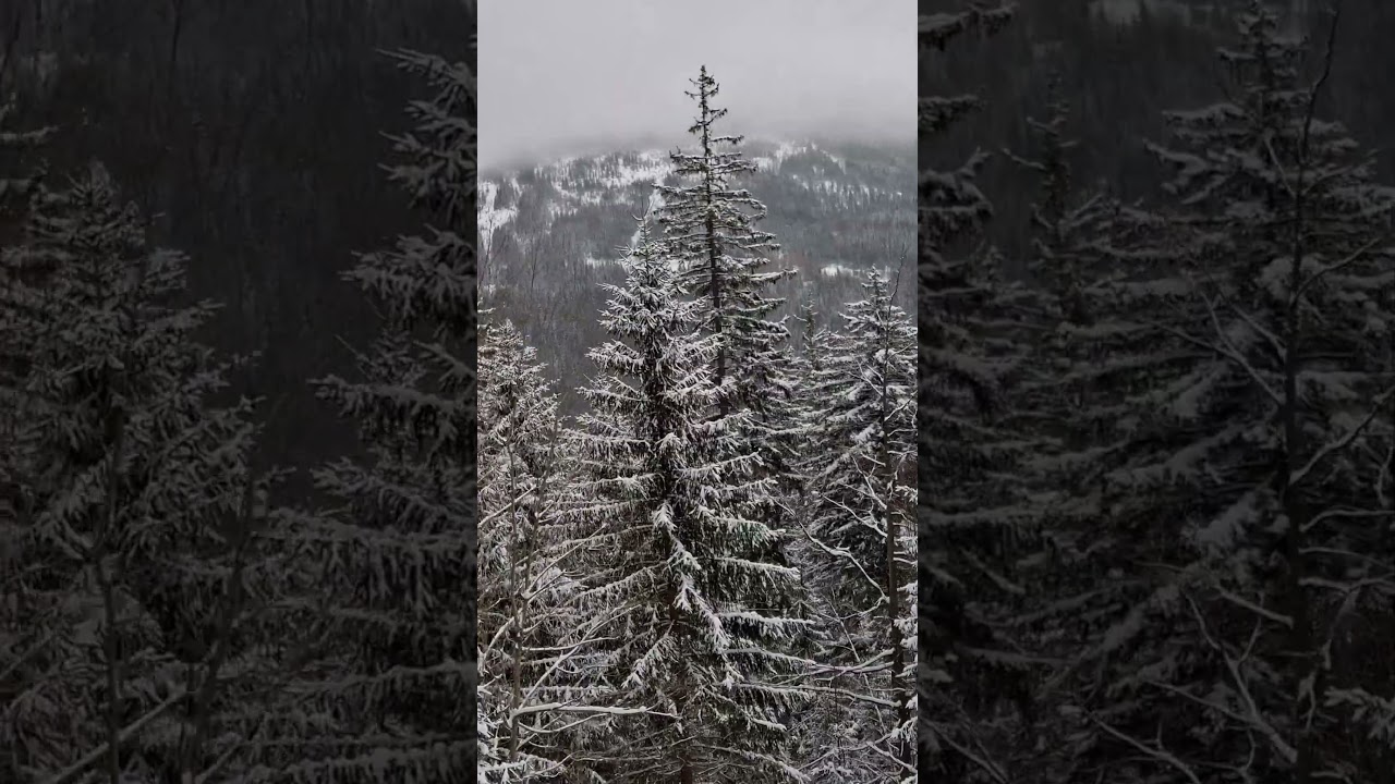 Špindlerův Mlýn - Spindlermühle / Ski Lift from Špindlerův Mlýn to Medvědín 