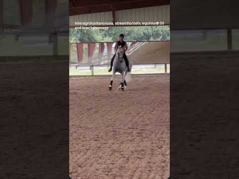 Training days at BREC Dressage with Hanibal Interagro 🐎💙