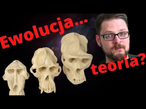 Wideo: Dlaczego naucza się ewolucji?