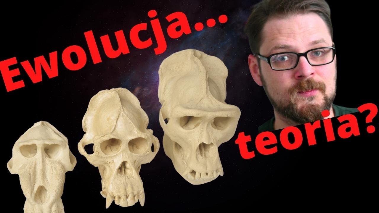 Dowody Bezpośrednie I Pośrednie Ewolucji