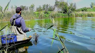 видео: Ловлю рибу під ногами, на короткі удочки картинка: Ловлю рибу під ногами, на короткі удочки