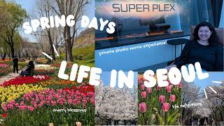 Spring Diaries 🌷 Life in Seoul vlog, tulips, cherry blossoms, private movie studio, life reflections