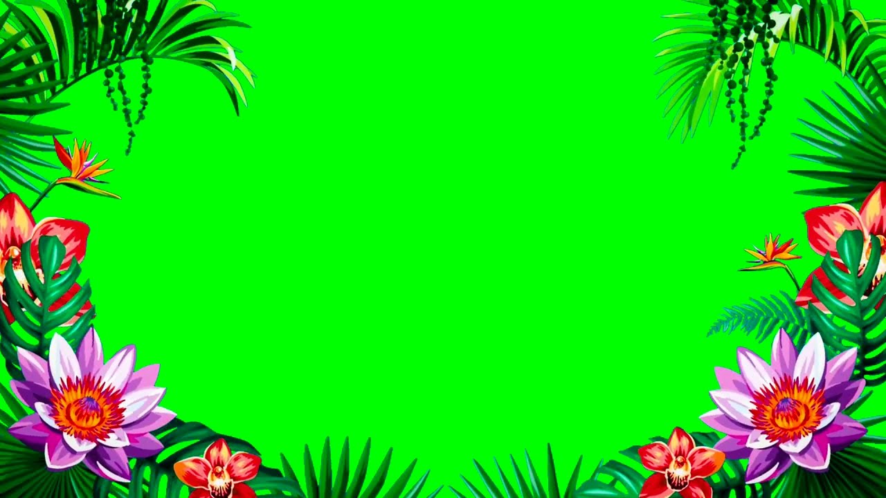 flower green screen effect|flower frame green screen|green screen flower|no copyright|free download