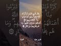 فارس عباد و م ن الن اس م ن ي ت خ ذ م ن د ون الل ه أ ند اد ا ي ح ب ون ه م ك ح ب الل ه